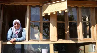 Bayburtlu Kiracı Kadın, Evinin Önünü Adeta Bahçe Haline Getirdi