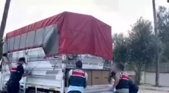 Adana'da 2.4 Milyon Kaçak Makaron Ele Geçirildi