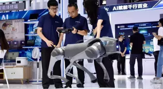 2025 Küresel Endüstriyel İnternet Konferansı Shenyang'da Başladı