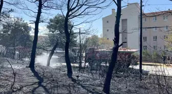 Çanakkale'de Orman Yangını Kontrol Altına Alındı