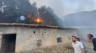 Hakkari'de Orman Yangını Kontrol Altına Alındı