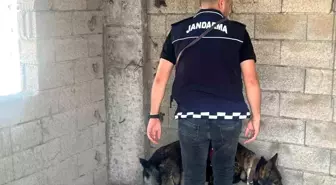 Kilis'te Okul Önlerinde Jandarma Denetimi