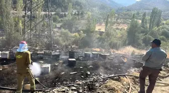 Muğla'da Yangın: Arı Kovanları Yanarak Kullanılmaz Hale Geldi