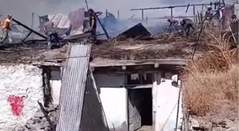 Kars'ın Sarıkamış ilçesinde yangın paniği