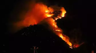 Hakkari'de Orman Yangını: Ekipler Seferber Oldu