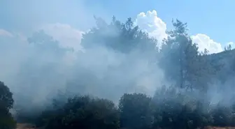 Kahramanmaraş'ta Orman Yangını Kontrol Altına Alındı