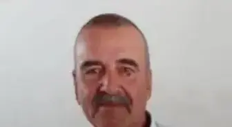 Aydın'da Arı Sokması Sonucu Alerjisi Olan Çiftçi Hayatını Kaybetti