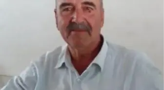 Aydın'da Arı Sokması Sonucu Alerjisi Olan Çiftçi Hayatını Kaybetti