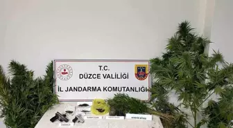 Düzce'de Uyuşturucu Operasyonu: 1 Tutuklama