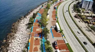 Giresun'da Fındık Hasadı Sona Erdi, Üreticiler Kurutma Zorluğu Yaşıyor