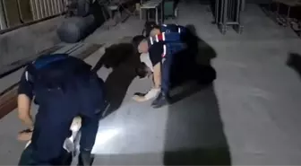Adana'da Uyuşturucu Baskını: Skunk Yetiştiren 1 Şüpheli Tutuklandı