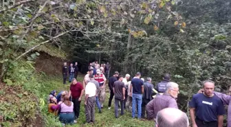 Ordu'da Tarım Aracının Uçuruma Yuvarlanması: 70 Yaşındaki Sürücü Hayatını Kaybetti