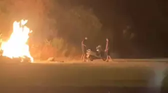 Muğla'da Ormanda Yangın Çıkardı, Şüpheliler Motosikletle Kaçtı