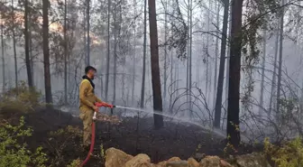 Osmaniye'deki Orman Yangını Kontrol Altına Alındı