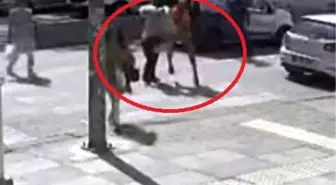 Yaya Geçidinde Kadına Saldırı: Sürücü Kaçtı
