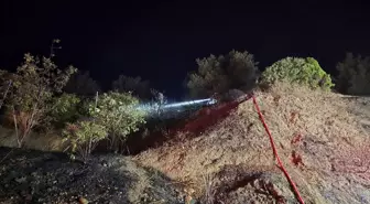 Mudanya'da Anız Yangını Kontrol Altına Alındı