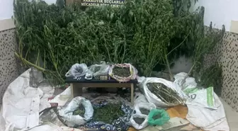 Denizli'de Narkotik Operasyonu: 3 Zehir Taciri Yakalandı