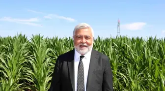 Kuraklık ve Sulama Sorunları Güneydoğu Anadolu'yu Tehdit Ediyor