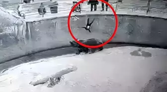 Yıllar önce hayvanat bahçesinde kafese attığı kızını bıçaklayarak öldürdü