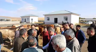 Kars'taki Hayvan Pazarı Yeniden Açıldı