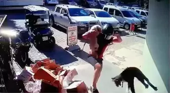 Antalya'da Kediyi Tekmeleyen Şahıs Gözaltına Alındı