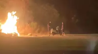 Dalaman'da Ormanda Yangın Çıkartan İki Şüpheli Serbest Bırakıldı