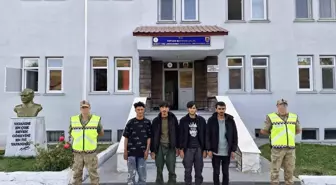 Bitlis'te Düzensiz Göçmen Kaçakçılığı Operasyonu: 1 Organizator Yakalandı