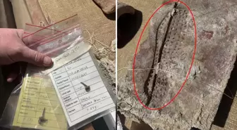 Türkiye'deki antik kentte bilim insanlarını heyecanlandıran keşif