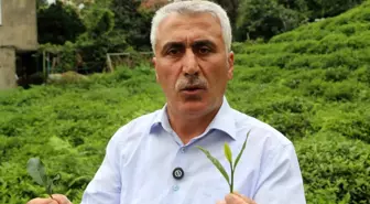 12 Eylül 1980 darbesinde çay makası bile yasaklanmış