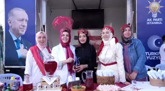 İbni Sina Haftası Etkinlikleri Beykoz'da Gerçekleşti