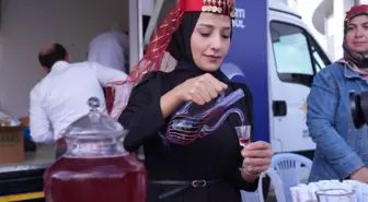 İbni Sina Haftası Etkinlikleri Beykoz'da Gerçekleştirildi