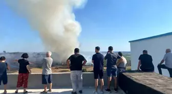 Antalya'da Yangın Zeytin Ağaçlarına Zarar Verdi