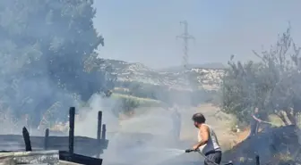 Manisa'da Ahır Yangını: 21 Koyun Hayatını Kaybetti