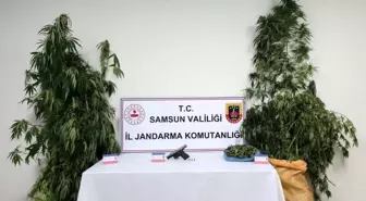 Samsun'da Uyuşturucu Operasyonu: 6 Kilo Esrar ve Kenevir Ele Geçirildi