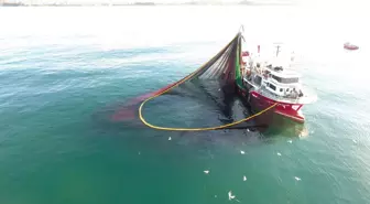 Sinop'ta Balıkçılar Yeni Sezona Umutla Başladı