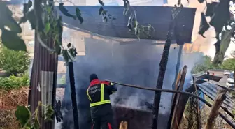 Bingöl'de Tandırdaki Köz Yangına Neden Oldu