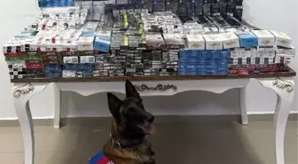 Niğde'de Kaçak Sigaraya Geçit Yok: 3 Bin 606 Paket Ele Geçirildi