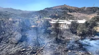 Hatay'da Bahçedeki Yangın Evleri Tehdit Etmeden Söndürüldü