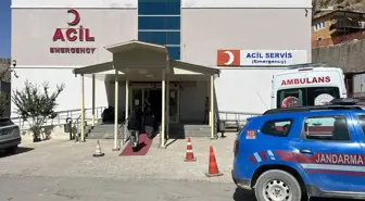 Ceviz Toplamak İçin Ağaca Çıkan Adam Düştü