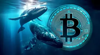 Eski nesil yatırımcı dev Bitcoin transferi gerçekleştirdi