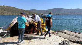 Muğla'da Kaçak Su Ürünleri Avcılığına Karşı Denetim