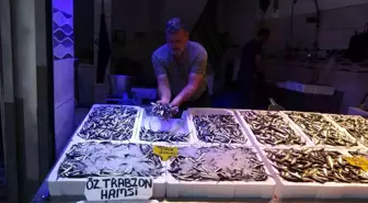 Hamsi Fiyatlarında Düşüş: Kilo 100 TL