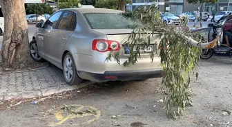 Mersin'de Kırılan Ağaç Dalı Park Halindeki Arabaya Zarar Verdi