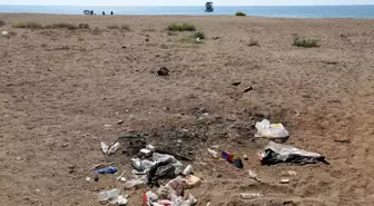 Kumköy Sahilindeki Çöp Sorunu ve Caretta Carettalar Tehlikede