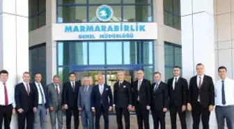 Marmarabirlik ve Vakıfbank'tan İş Birliği Protokolü