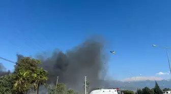 Muğla'da Kereste Deposunda Yangın Çıktı