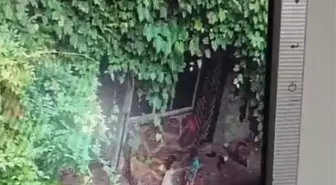 Samsun'da 3 Yaşındaki Çocuk Salıncakta Hayatını Kaybetti