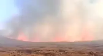 Şanlıurfa'da Orman Yangını Devam Ediyor