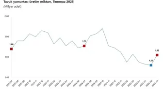TÜİK: Temmuz Ayında Süt ve Tavuk Üretimi Artış Gösterdi