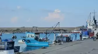 Zonguldak Balıkçıları Umutla Bekliyor: Hamsi Sezonu Ekim ve Kasım'da Gelecek